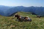 26 Riposo sull'erba con vista sui Piani dell'Avaro